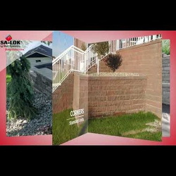 Video & Motion Graphics